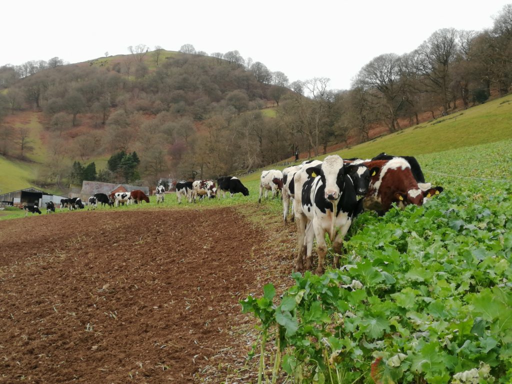 Check out our organic milk vending machine available at Llangollen Camspite