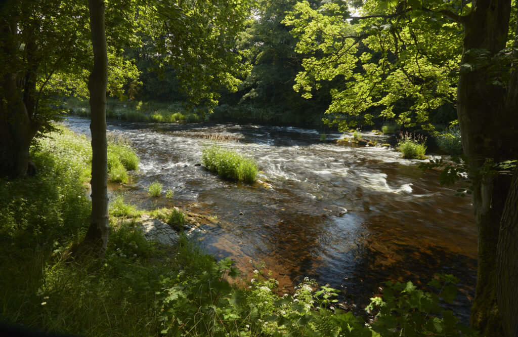 Beautiful Views at Llangollen Campsite